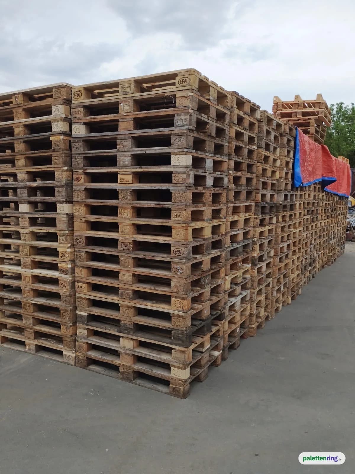 Verkaufen · 760 Stk. · EPAL/UIC-EUR Europalette · Gebraucht · Dresden, Sachsen